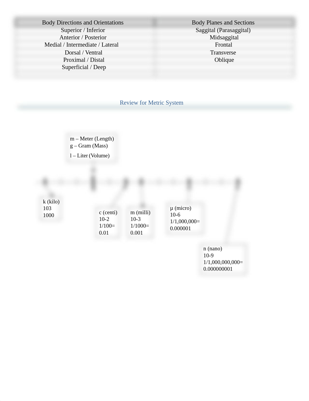 BIO141 Lab Packet_v8.docx_dola9syh69c_page2