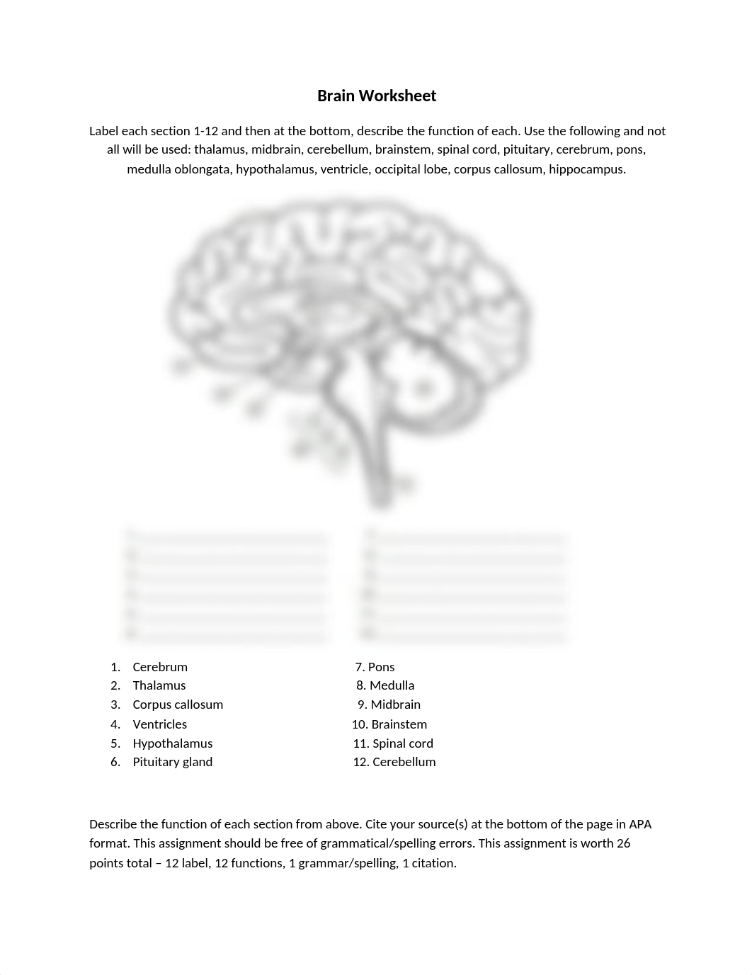 BIO 202 - Brain Worksheet - Week 6-Assignment JM.docx_dolbe6vnpvw_page1