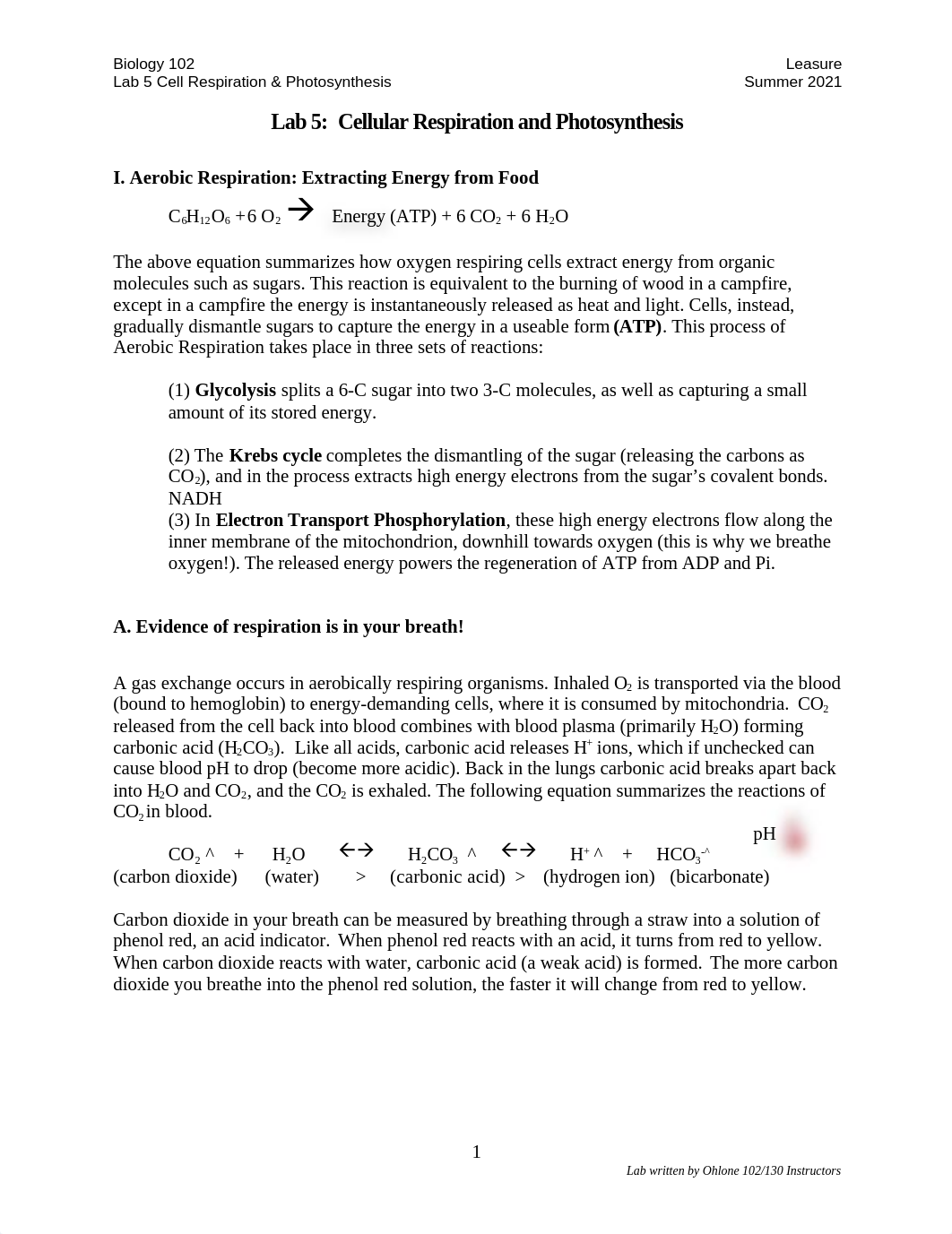 Lab 5 Fall 2021 - Word (1).docx_dole72mjx3g_page1