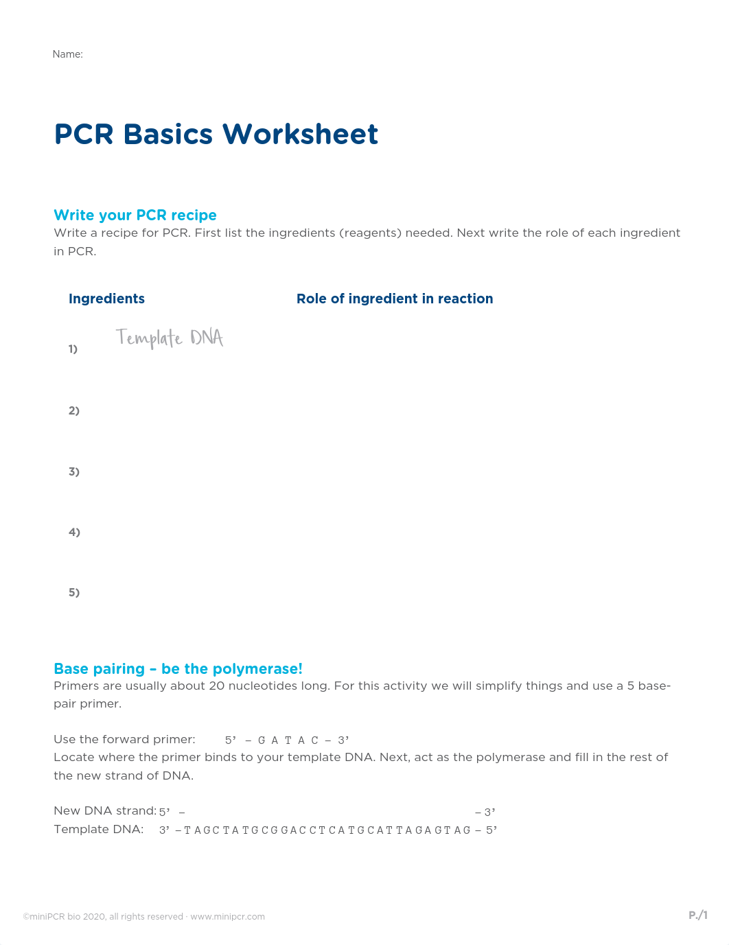 miniPCR-Worksheet-PCR-Basics.pdf_dolr1uw3kbp_page1