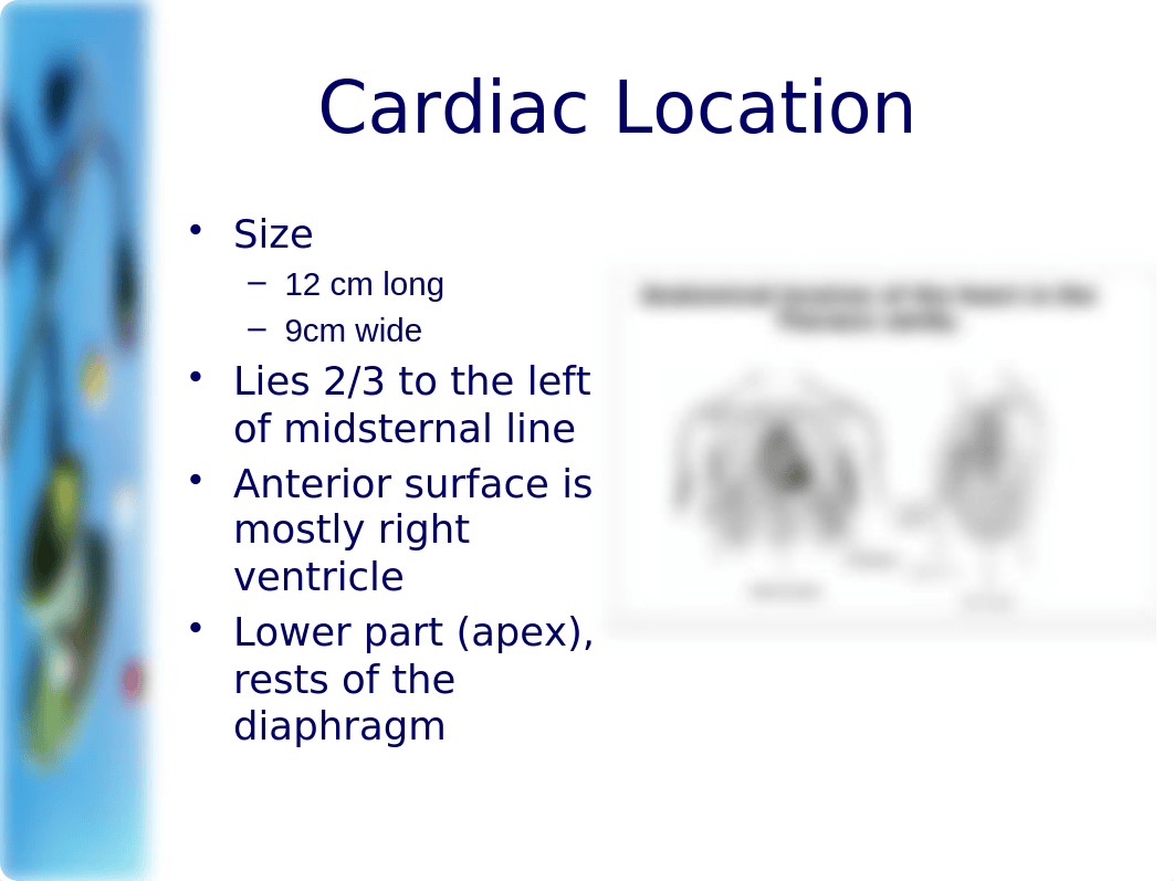 2012 Cardiovascular Assessment - Dr Kim Udlis.pptx_dolrksi3nll_page3