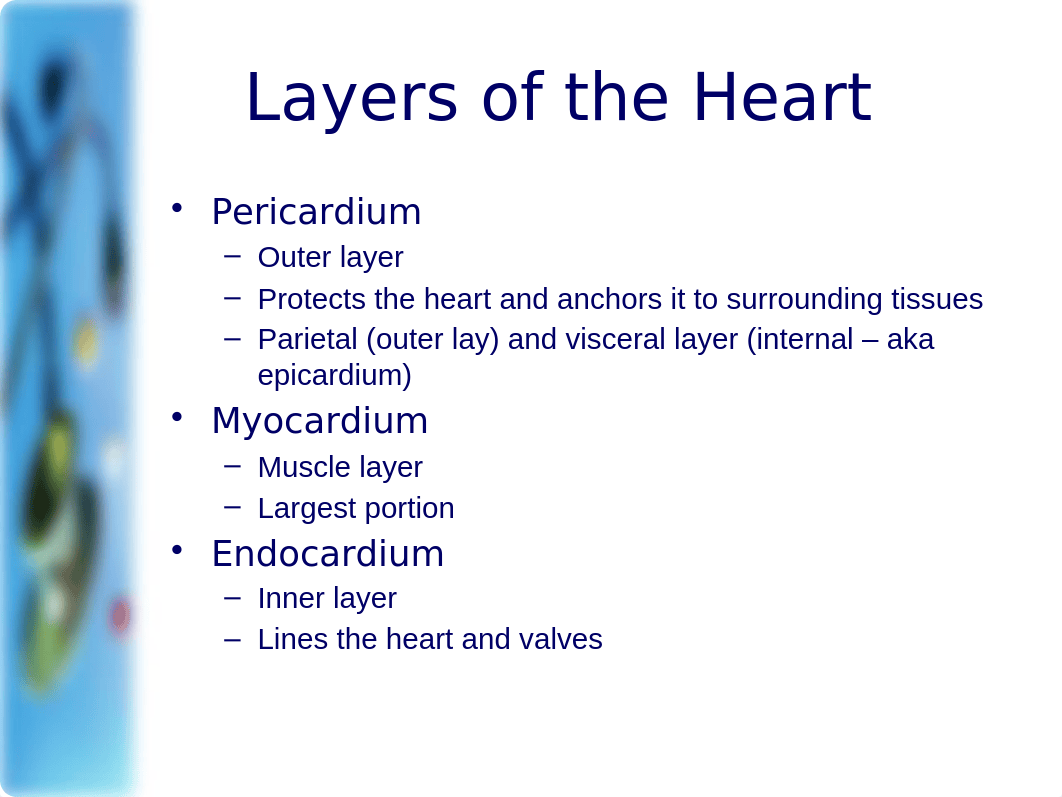 2012 Cardiovascular Assessment - Dr Kim Udlis.pptx_dolrksi3nll_page4