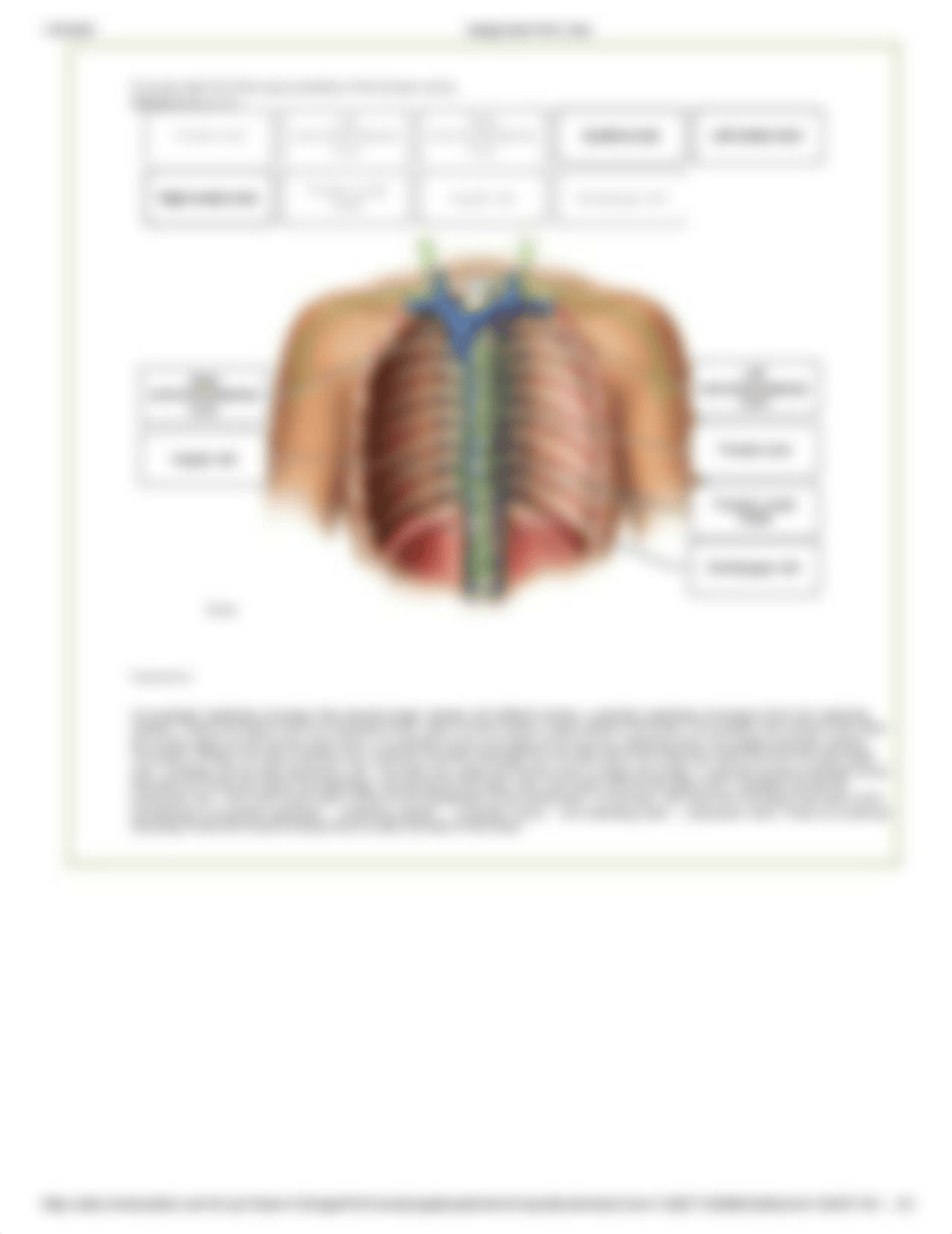 AP II Lab_MA279 BSC2347L_Section 13_Module 4_Pre-Lab Assignment_1302021.pdf_dolwn47jl4b_page5