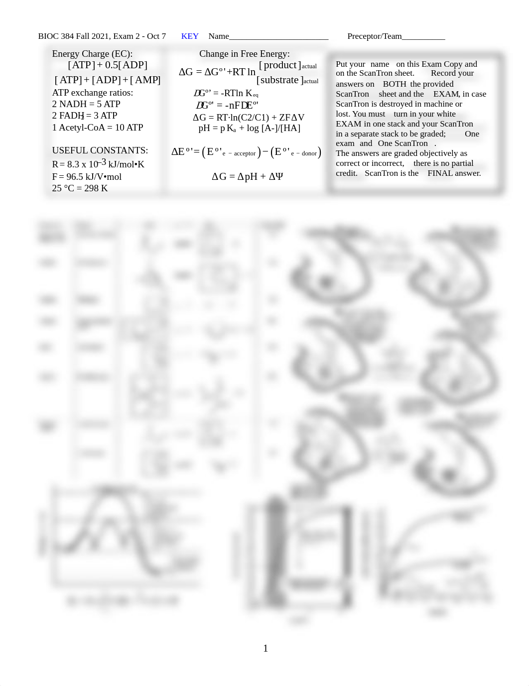 Bioc384-Exam2-F21-KEY.pdf_dolxjbpkdpb_page1