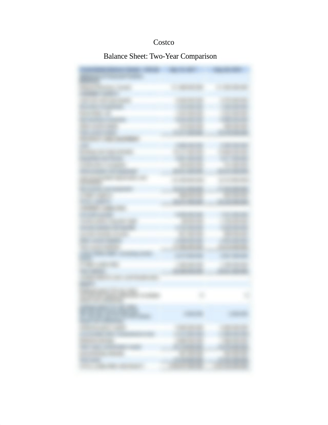 Costco 2018 Financial Analysis Report.docx_dolyv5xpjo3_page2