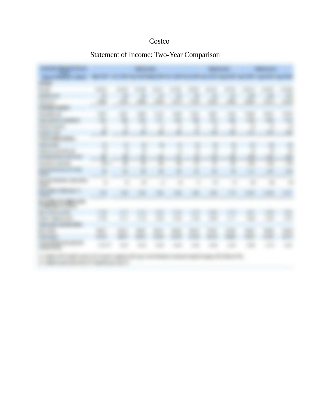 Costco 2018 Financial Analysis Report.docx_dolyv5xpjo3_page3