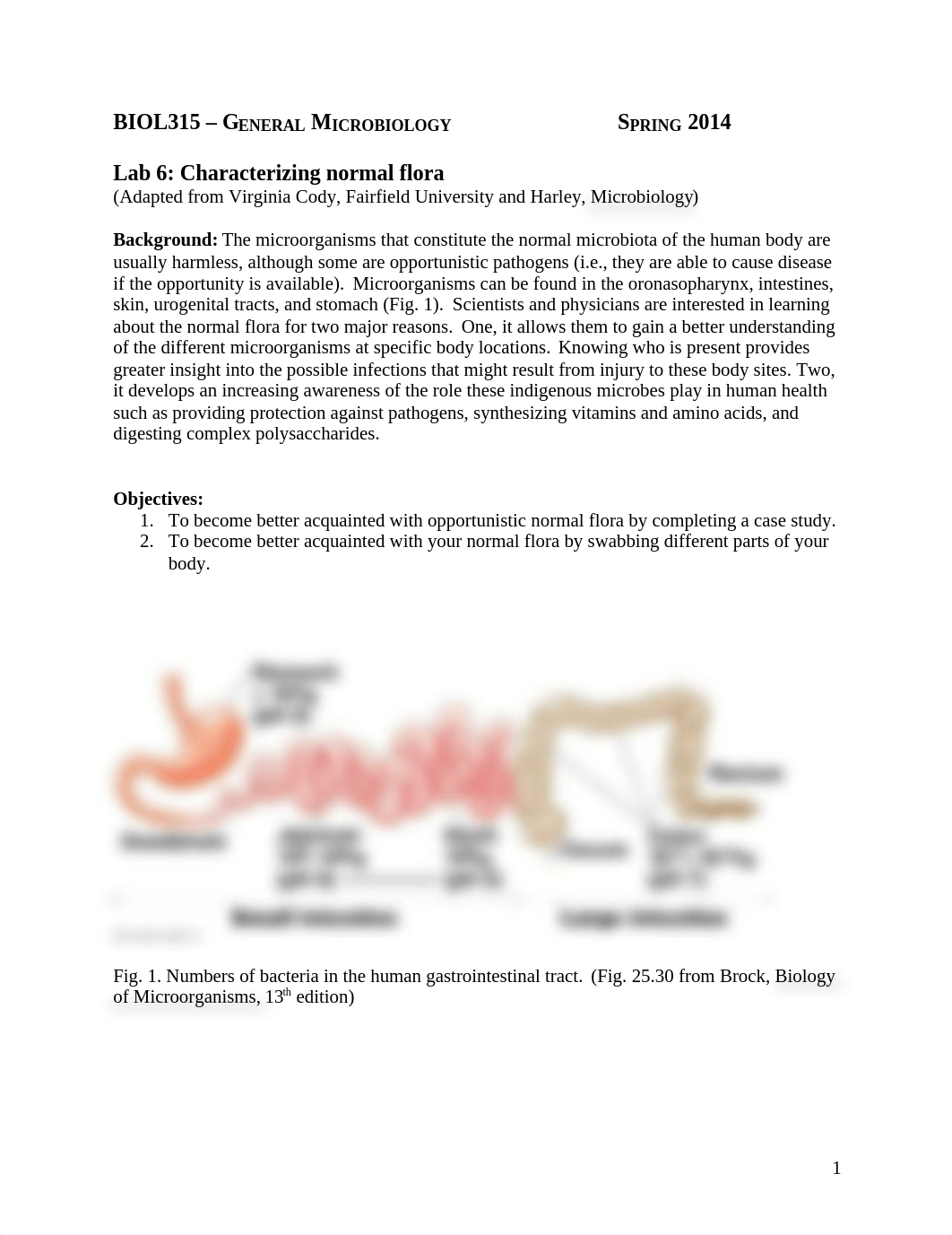 Lab 6 Characterizing normal flora S14_dom4jgest0h_page1