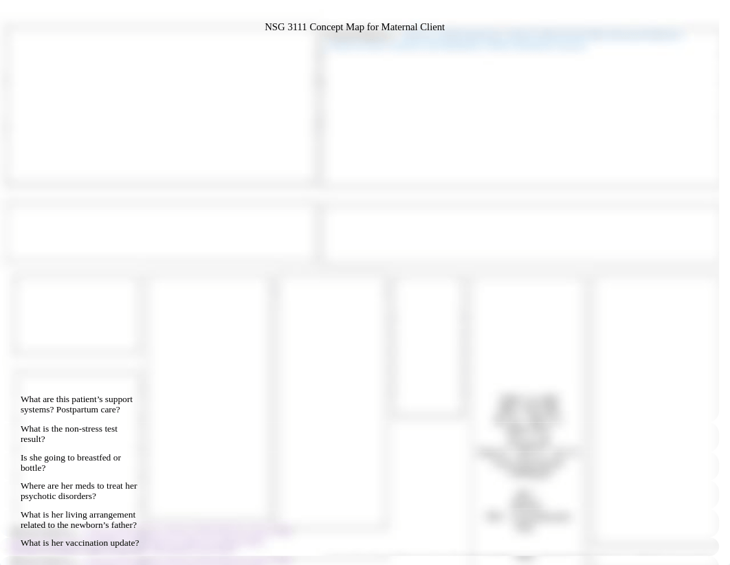 NSG 3111 Concept Map 1 Maternal.docx_domcs7rjdpn_page1