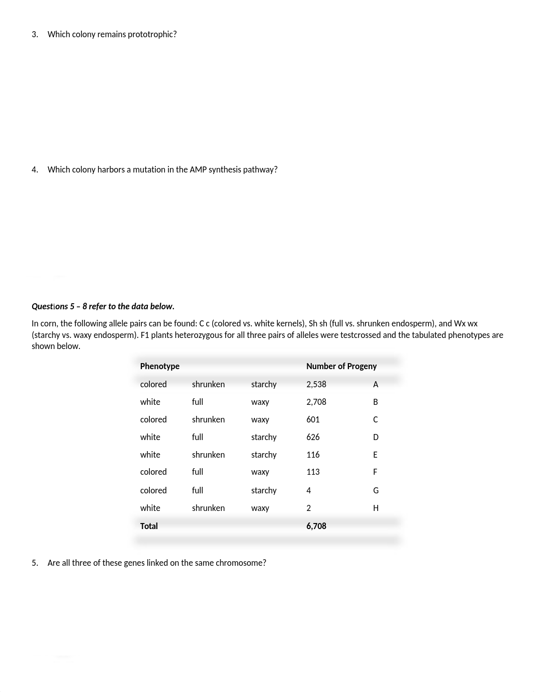 Exam #2.docx_domi9x6ltr4_page2