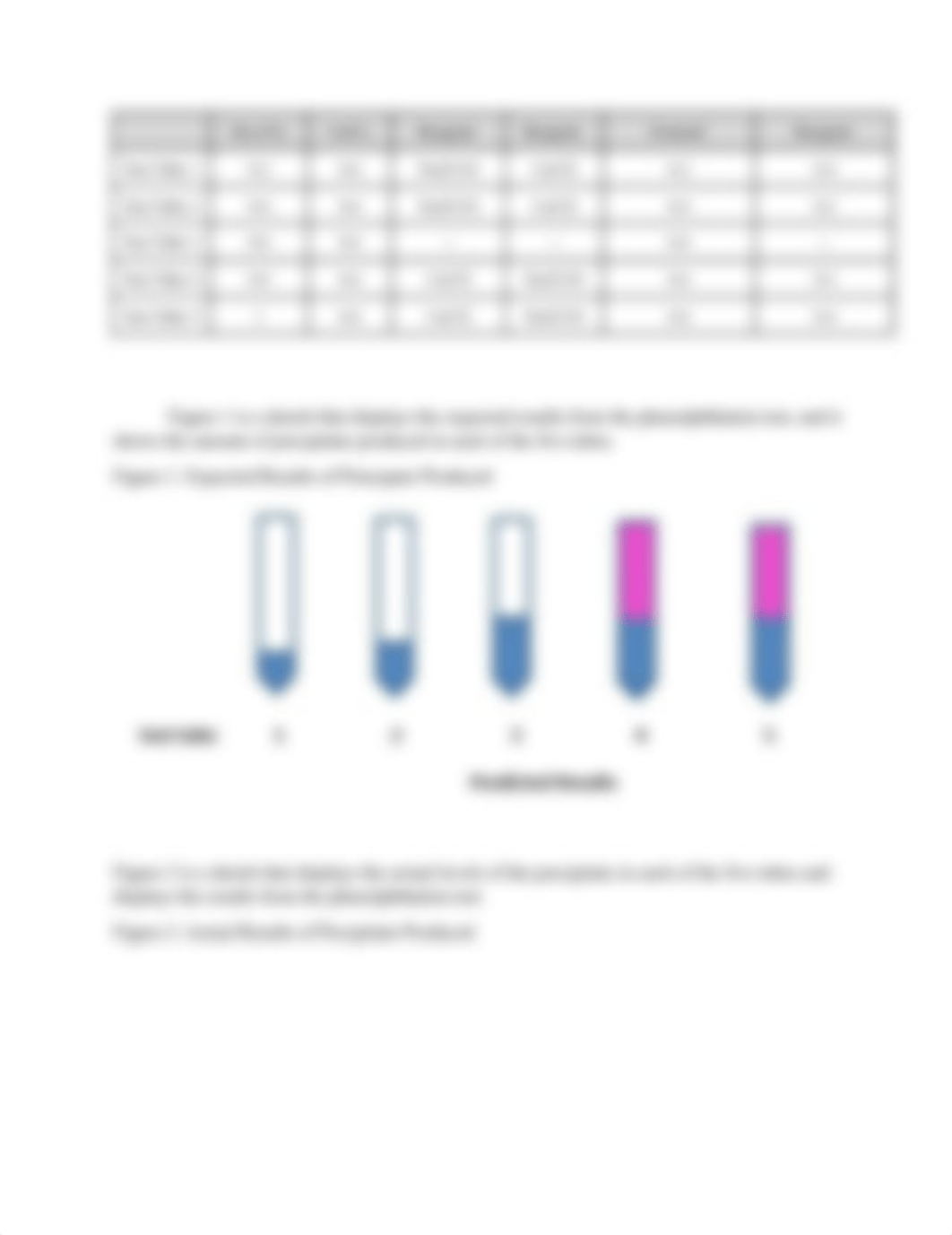 Chem 117 The Precipitation of Calcium Carbonate Lab Report.docx_domkxg0lj5x_page2