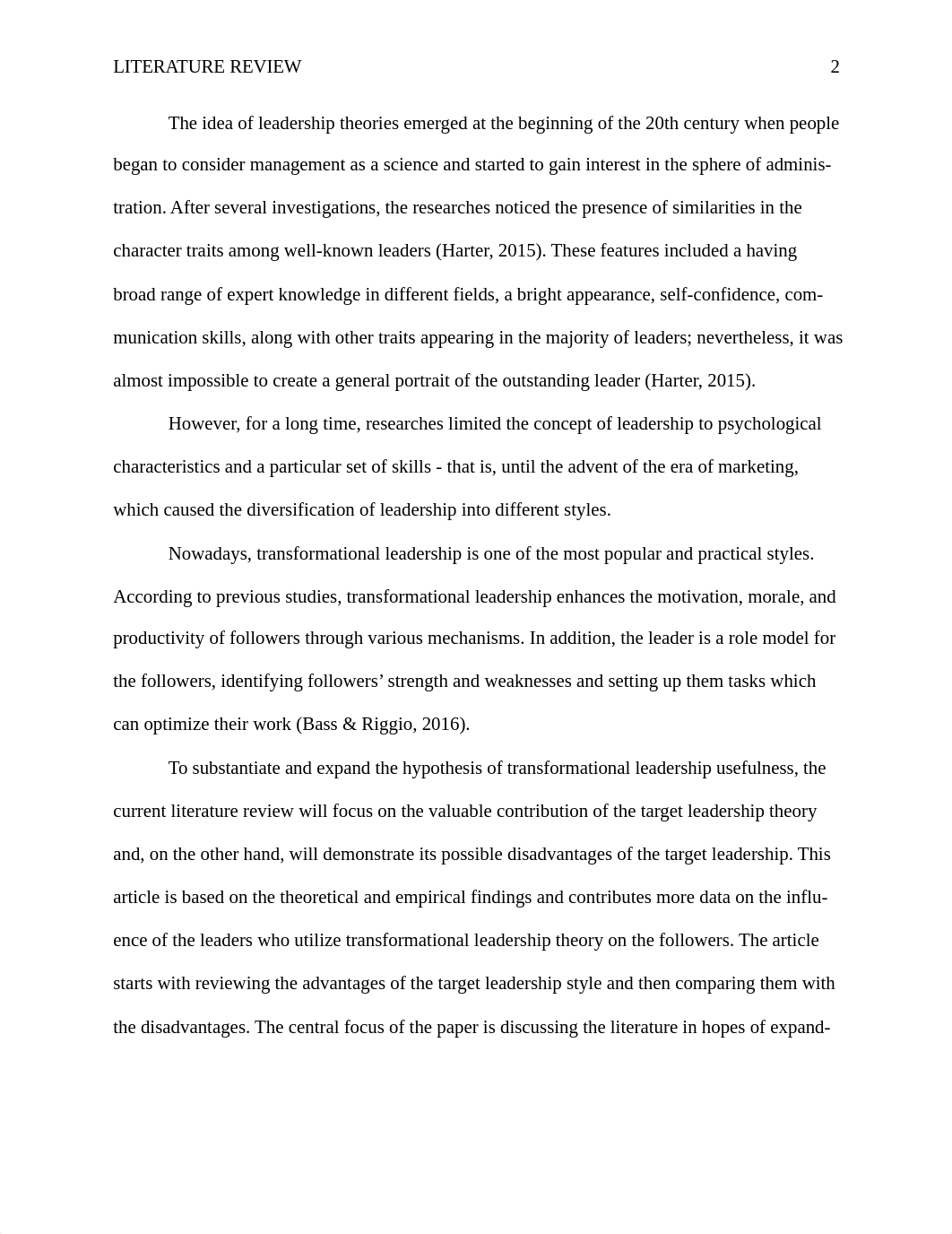 litrev trans.docx_domldhbirm1_page2