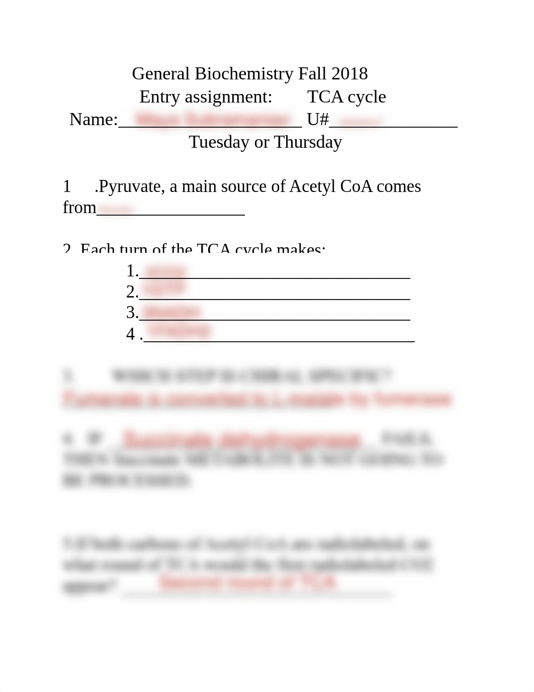 TCA+cycle.pdf_domqmsz6yr8_page1