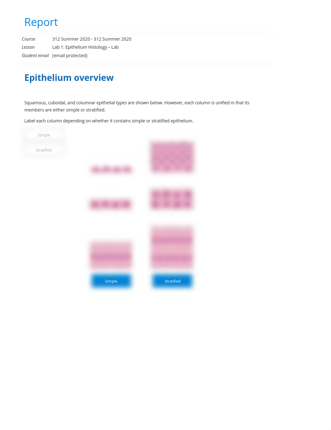 Lab 1_ Epithelium Histology - Lab report.pdf_domwyh1udoa_page1