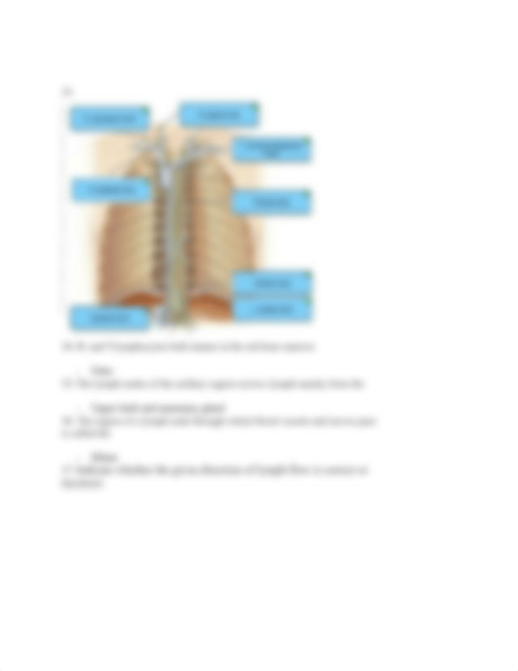 Chapter 21 study notes.docx_domxe1wxn1u_page3