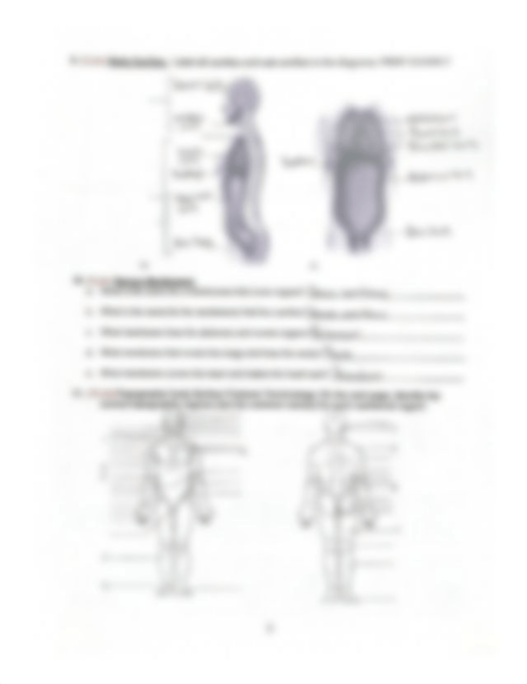 A & Pl Lab #1 Worksheet (9ed) REMOTE.pdf_domxo5wdkdk_page3