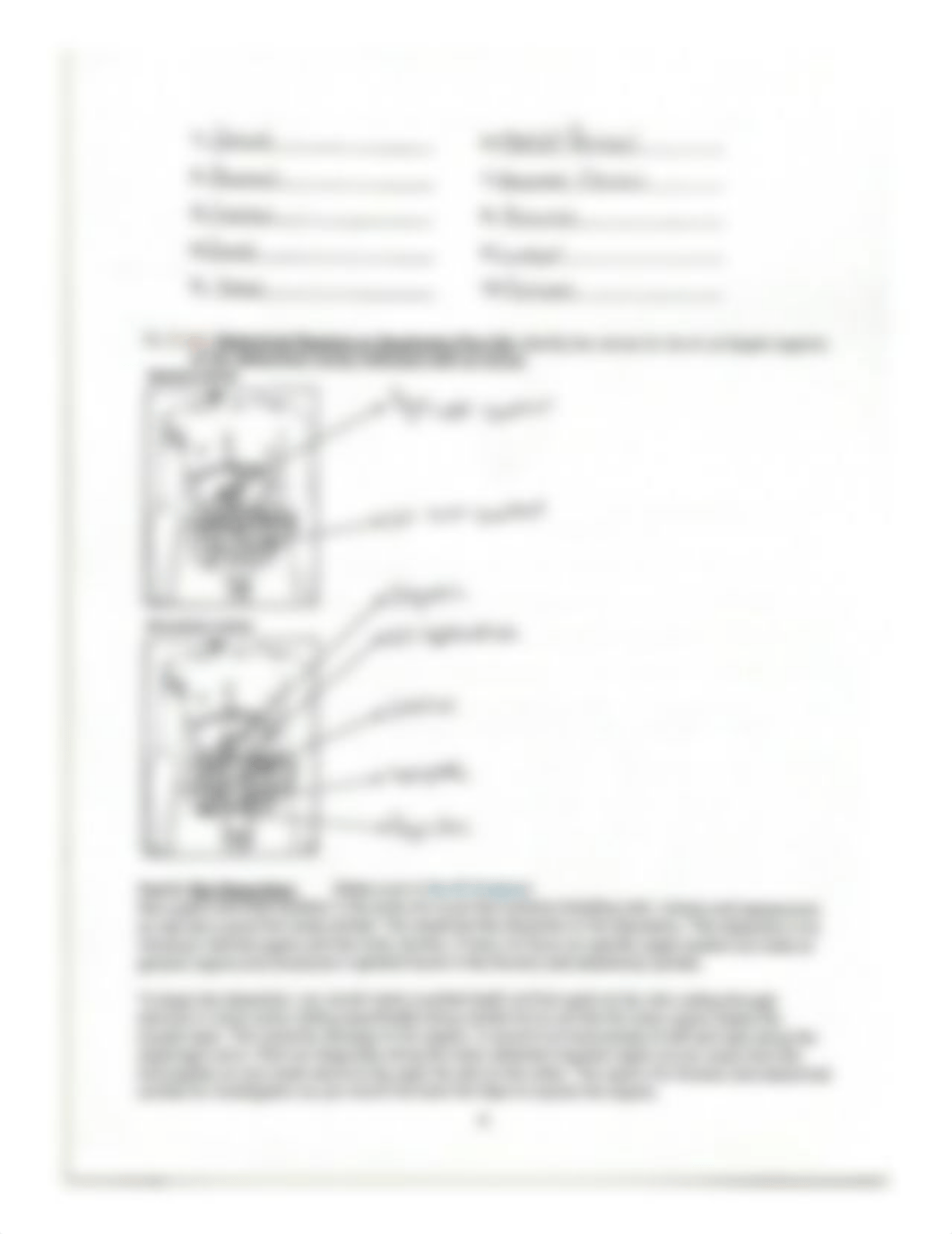 A & Pl Lab #1 Worksheet (9ed) REMOTE.pdf_domxo5wdkdk_page4