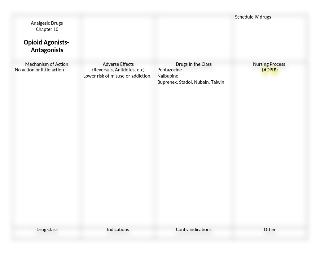 Pharm I Drug Class Form.docx_don29ryamat_page2