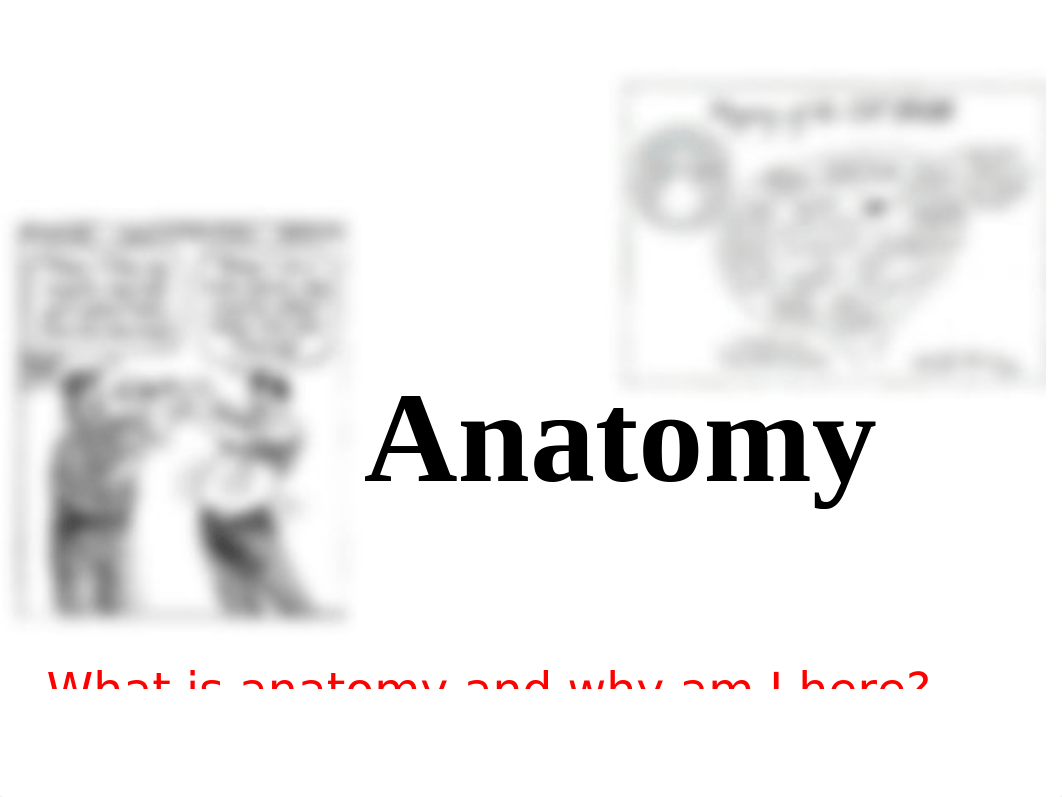 1 Intro to Anatomy and Nervous system.pptx_don7ci0wq5m_page1