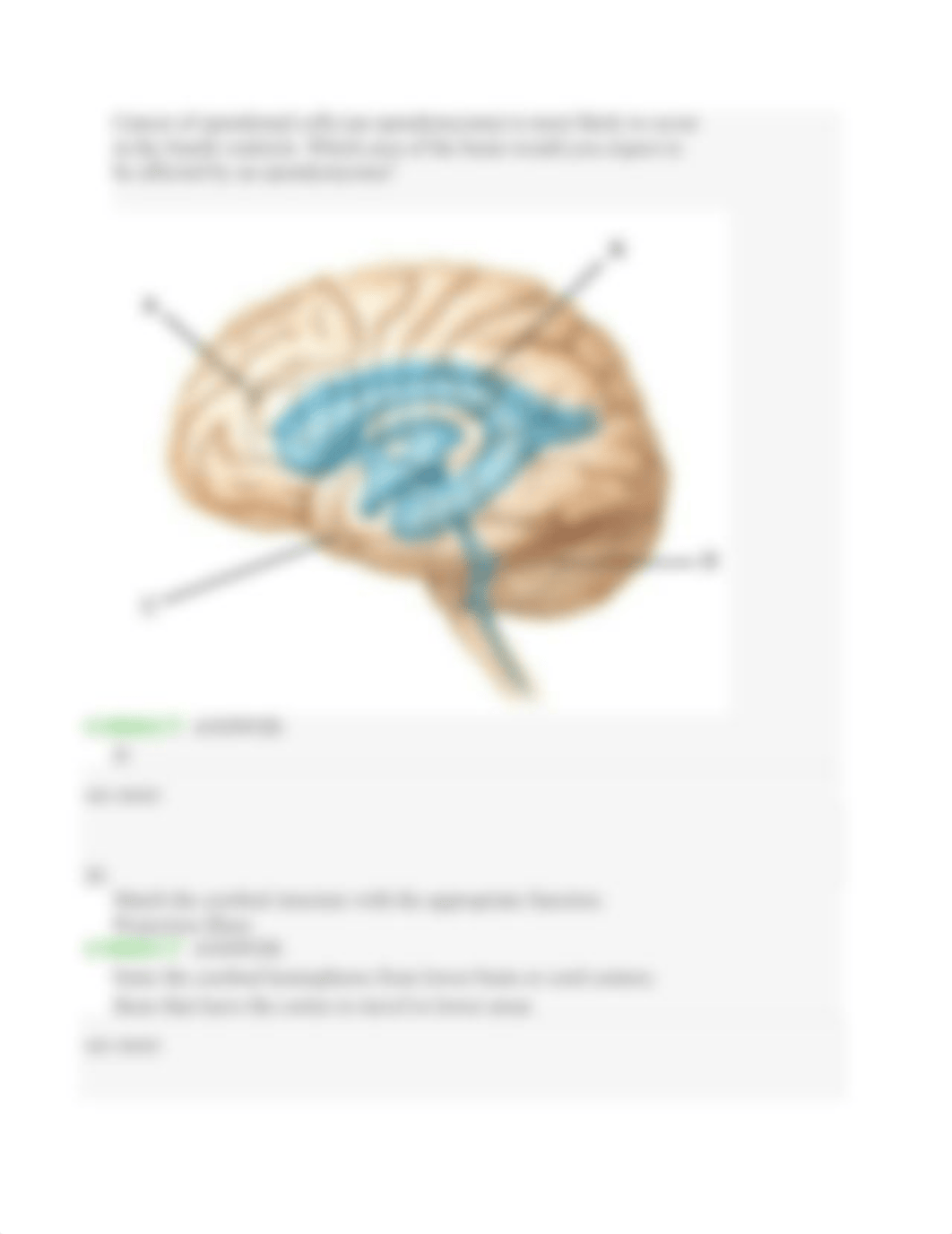 Ch. 12 Module 1 Sections 12.01-12.02 Dynamic Study Module.docx_donap2d6z5q_page3