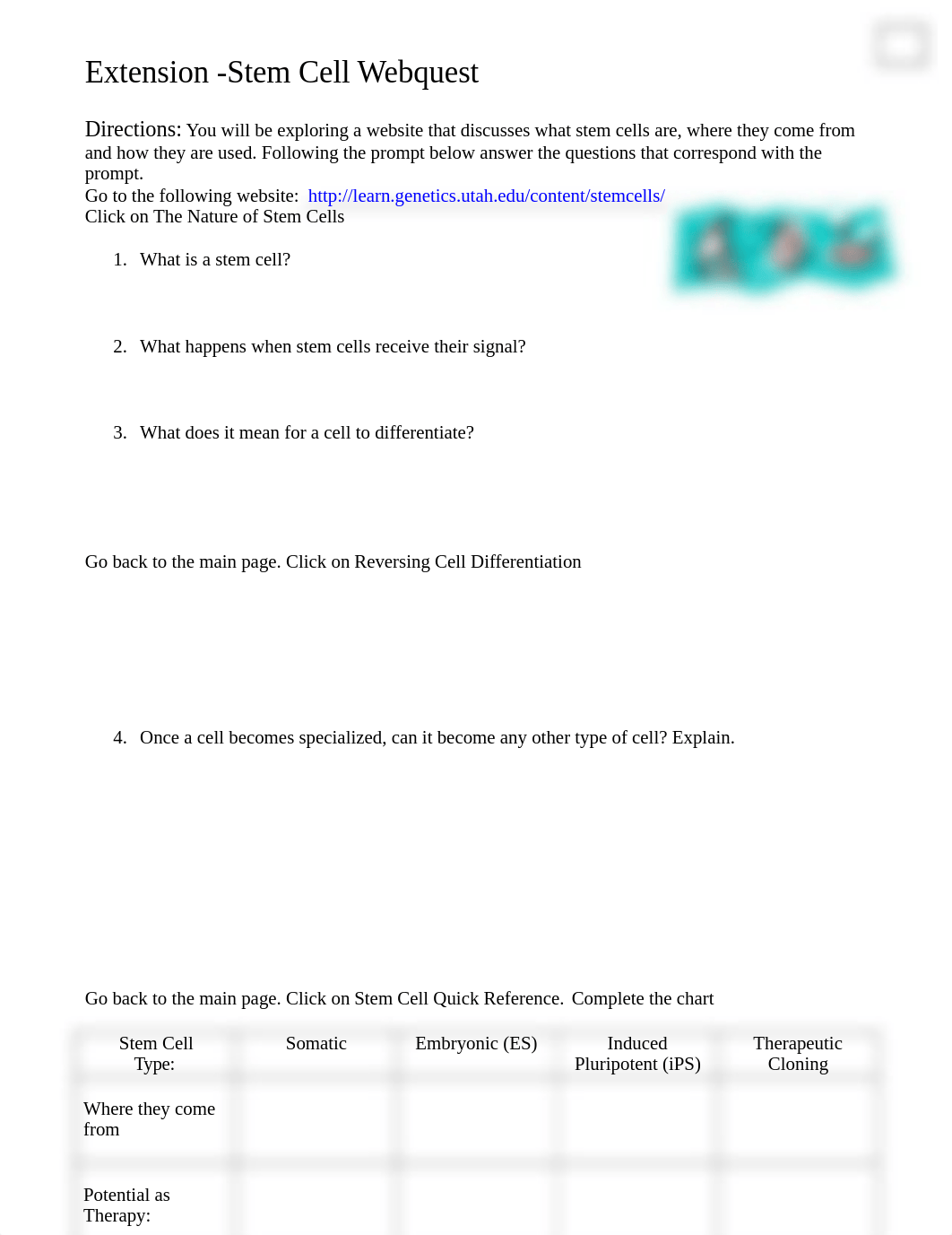 stem_cell_webquest_extension.doc_doncpkzynkn_page1