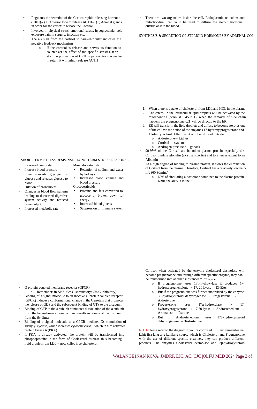 1-adrenal-gland.pdf_dongfm1yvlo_page2