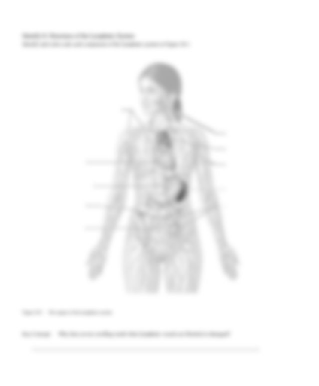 Immunology Worksheet.pdf_donjt7vnlem_page3