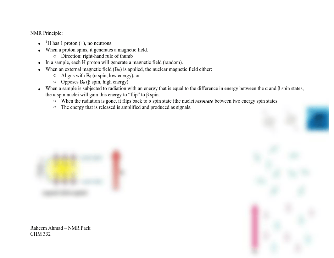 NMR Pack - Raheem.pdf_donknv353rh_page2