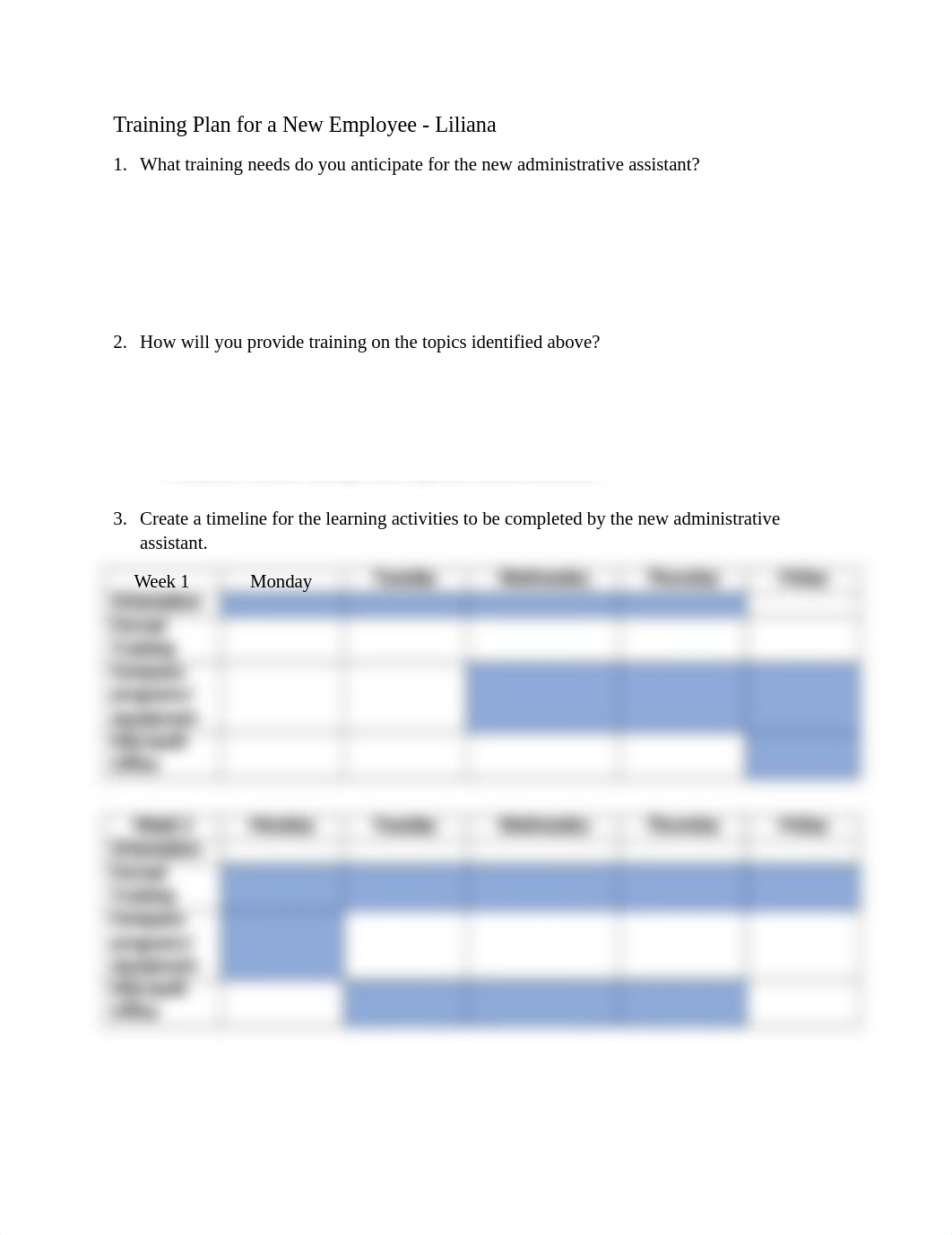 Training Plan for a New Employee.docx_donyxjue0et_page1