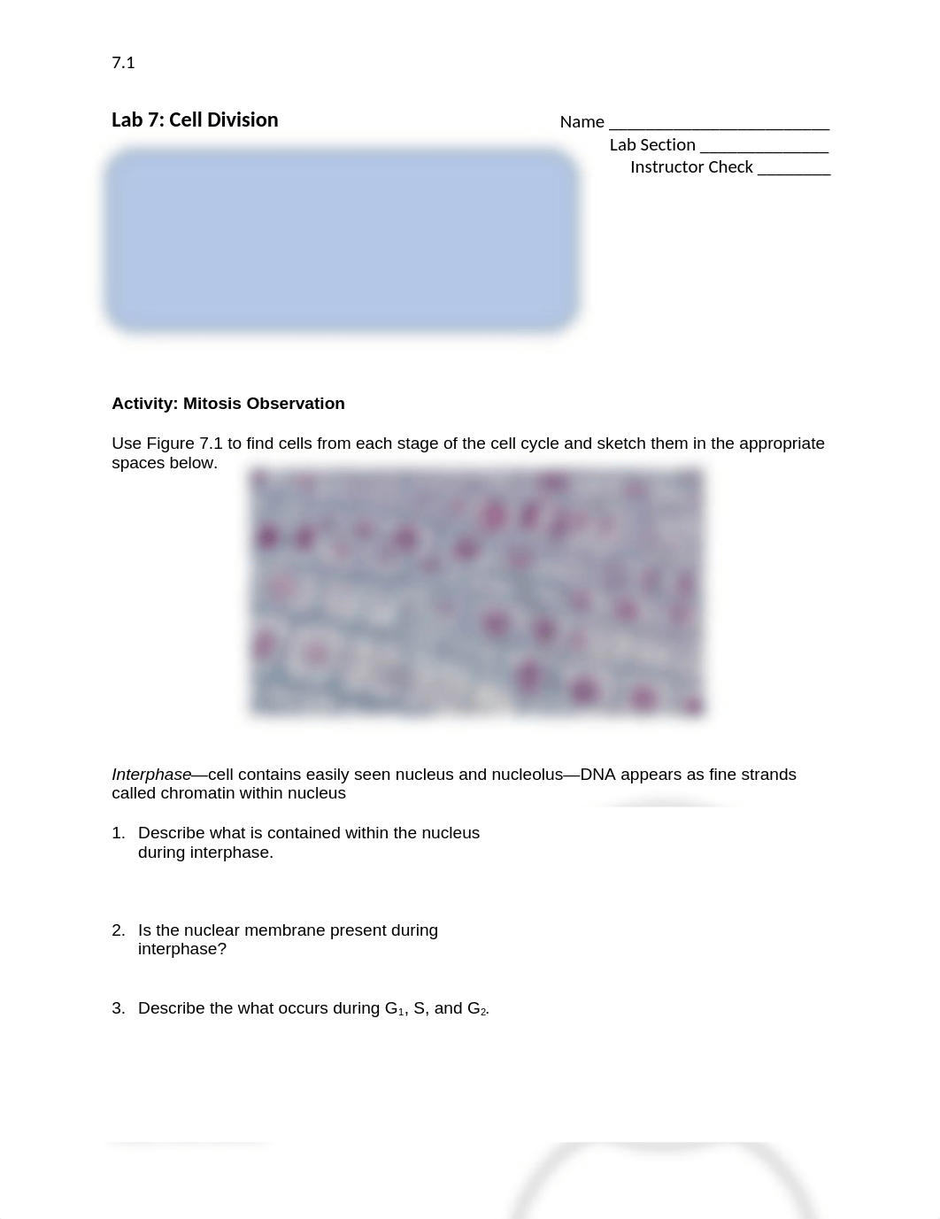 Lab07 F20 (1).docx_doo55lxhmtm_page1