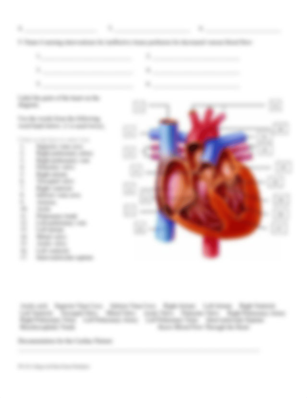 Lab Pulses and Perfusion Worksheet(2).docx_doo8urgr40f_page2