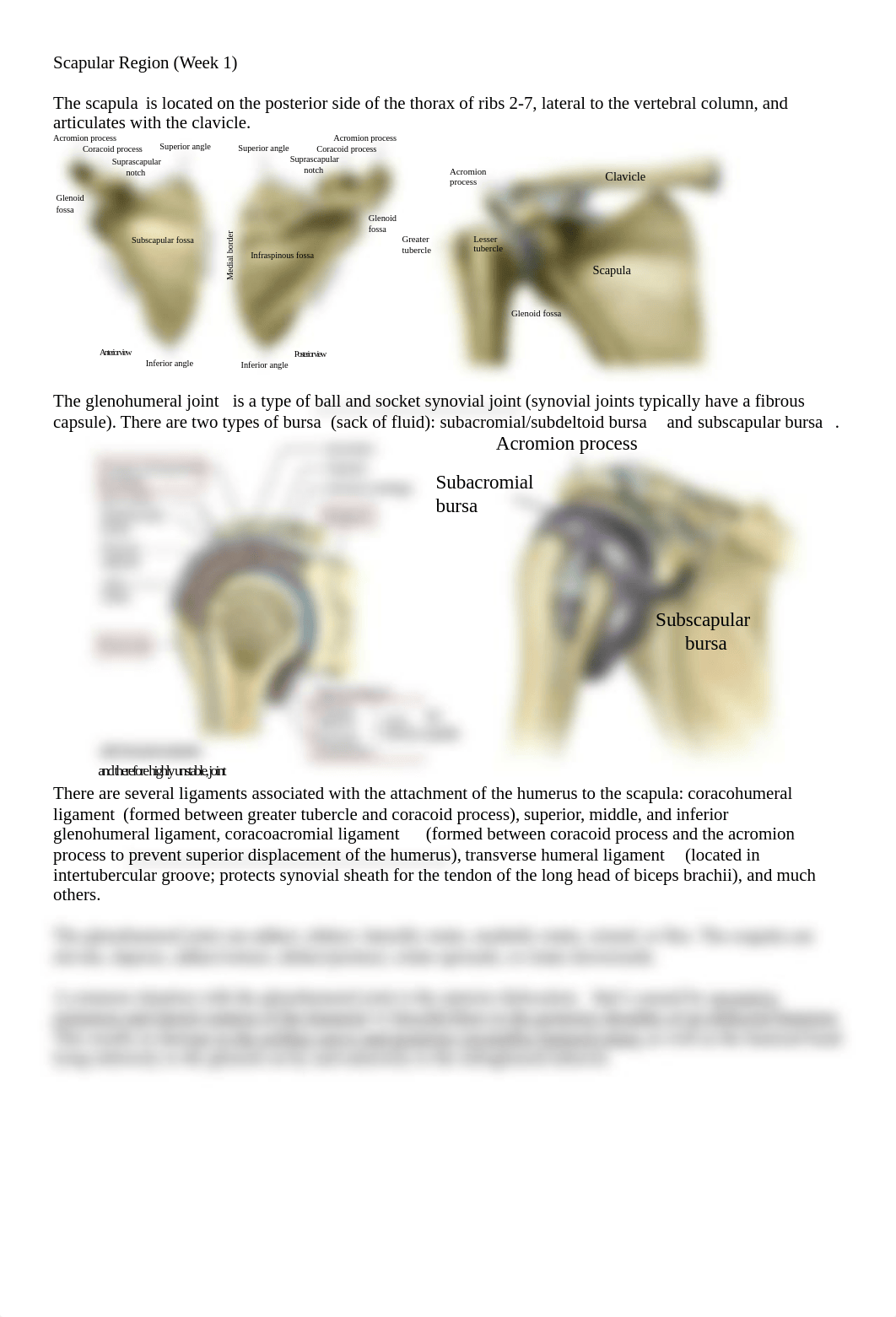 Scapular Region.docx_dooab1h2xno_page1