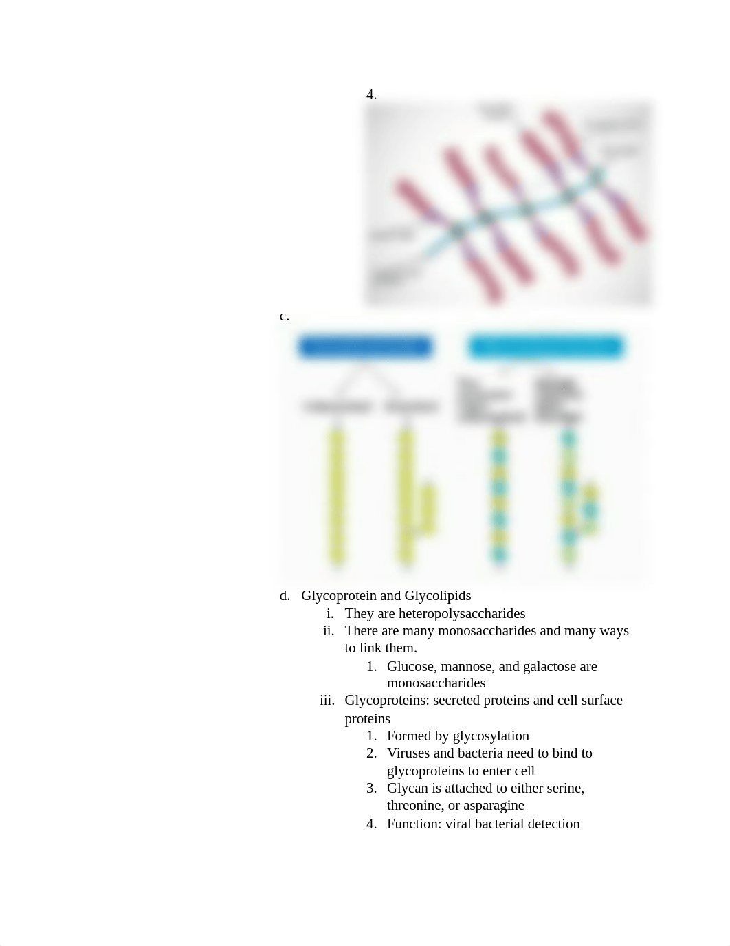 Exam 2 Study Guide - BIOL 4461.docx_dooc4338wcj_page2