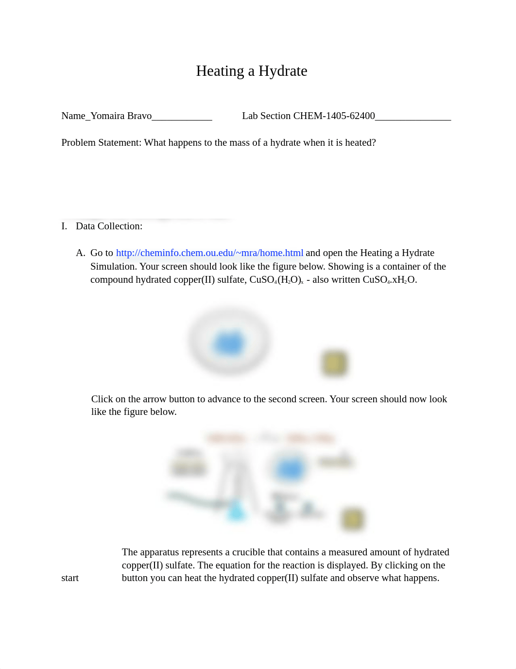 Chem 3 lab Heat_of_Hydrate.docx_dop02daj4bp_page1