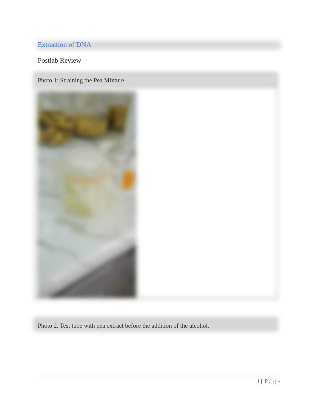 Extraction of DNA Postlab Review (1).docx_dop3lc1aw8r_page1