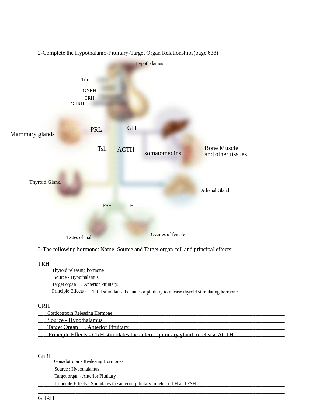 Lab 15 Assignment..pdf_dop7vdsofhs_page2