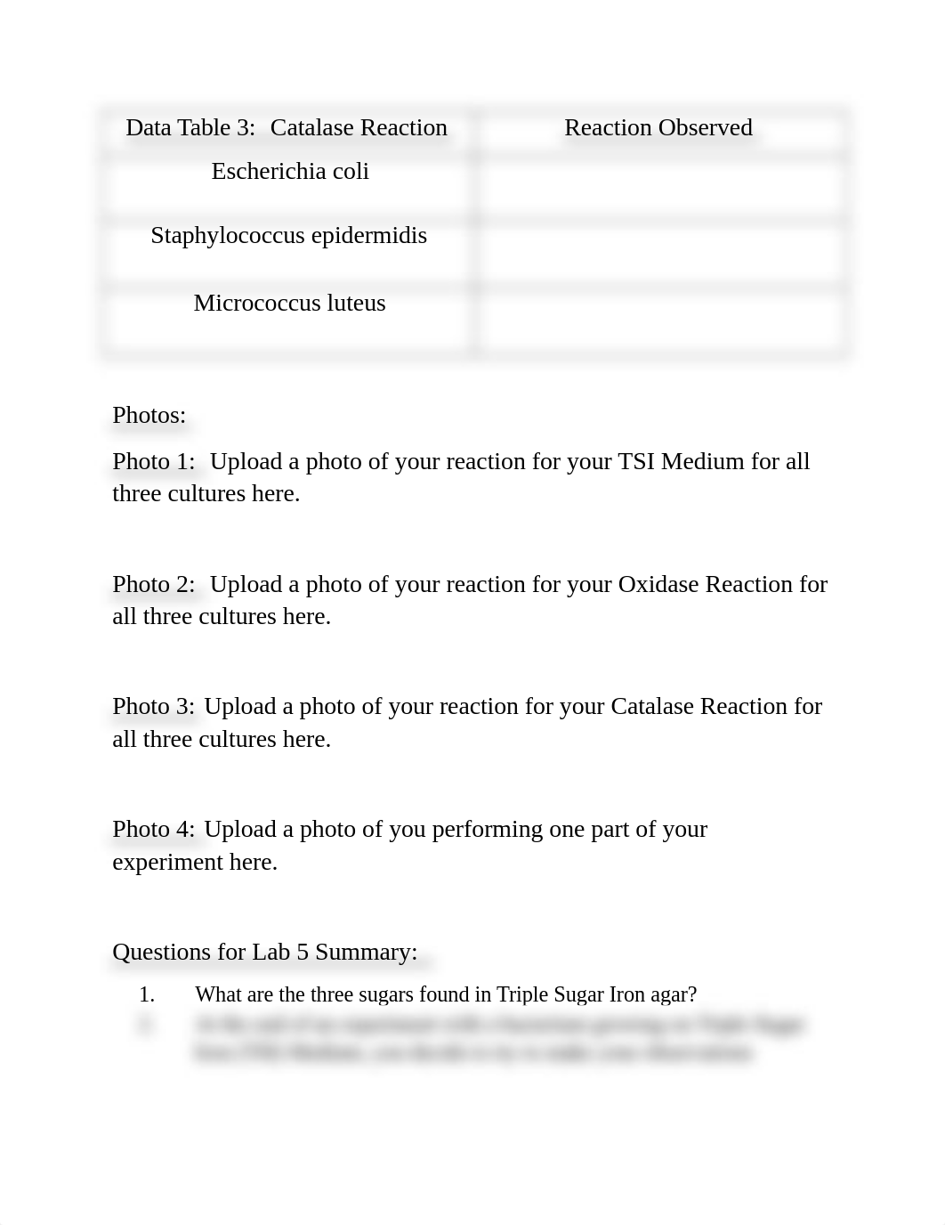 Lab 5 (Biochemical Tests in Microbiology) Tables and Questions (1).docx_dop7yyuu92b_page2