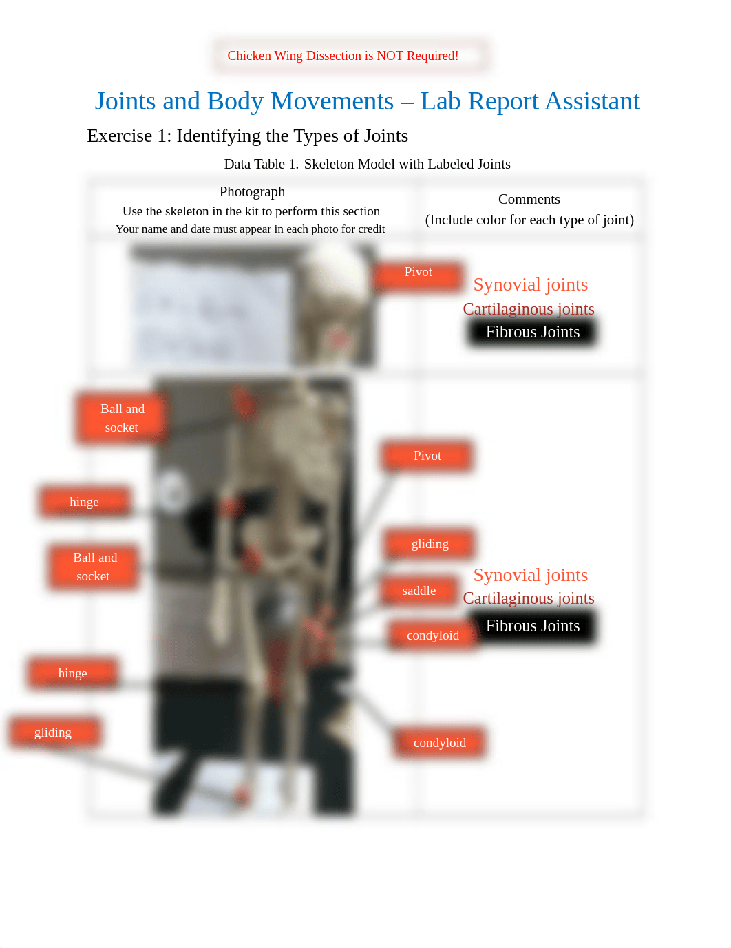 eric.burns Lab Report 7 - Joints and Body Movements.docx_dopeved4hwy_page1