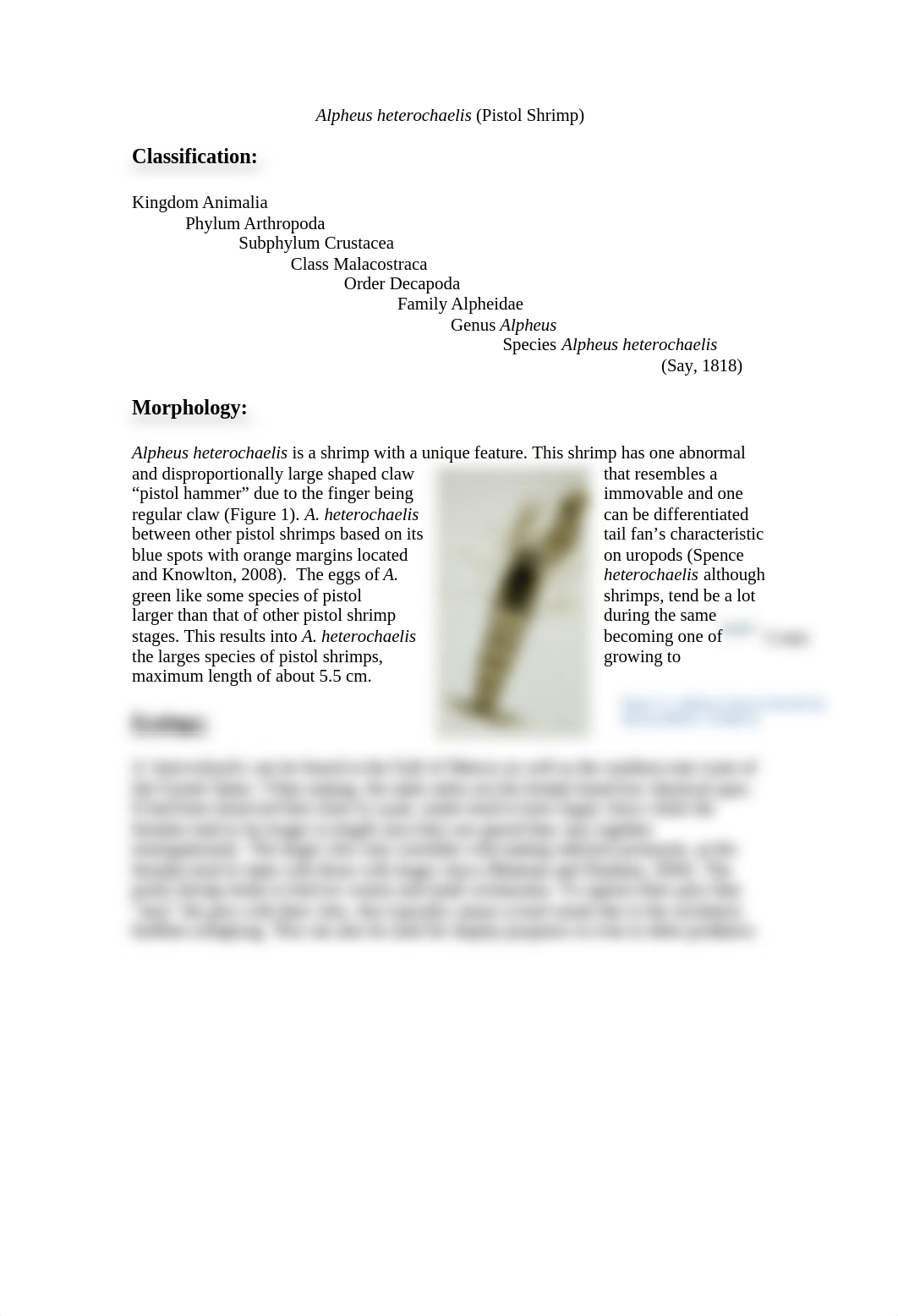 MARB435_Habitat_Taxonomy_Miller.docx_dopfzsa0kv8_page1