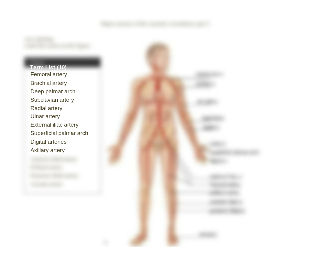 Bowman,D_Arteries Labeling 2.pdf_dopkgvu9zfk_page1