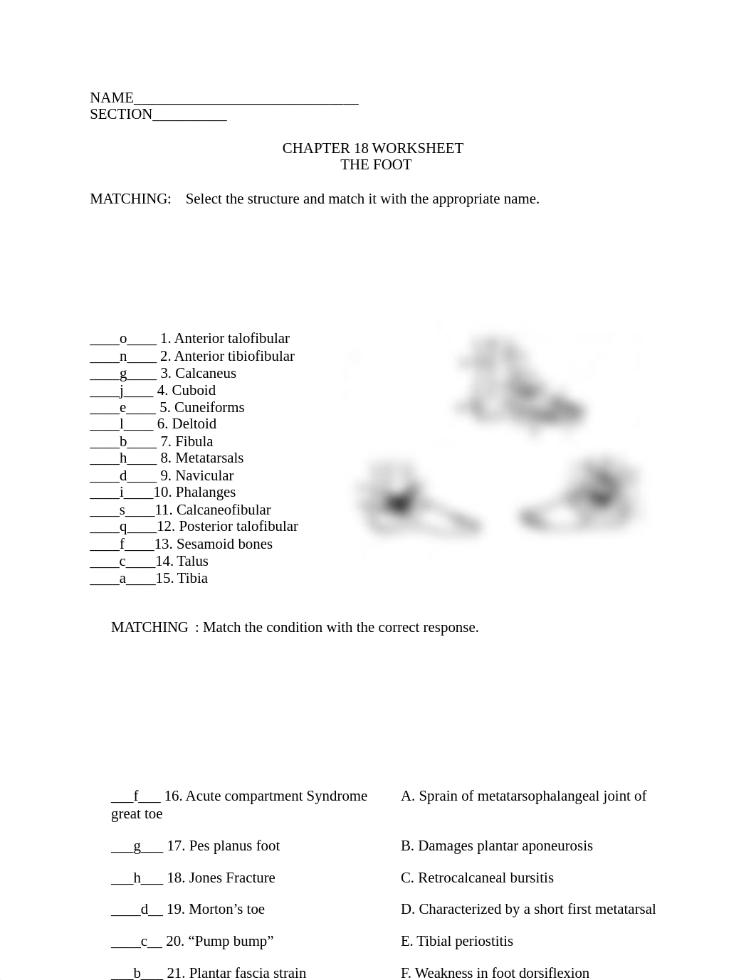 Care and PRevention Worksheets 18 & 19.docx_doproanzvkk_page1