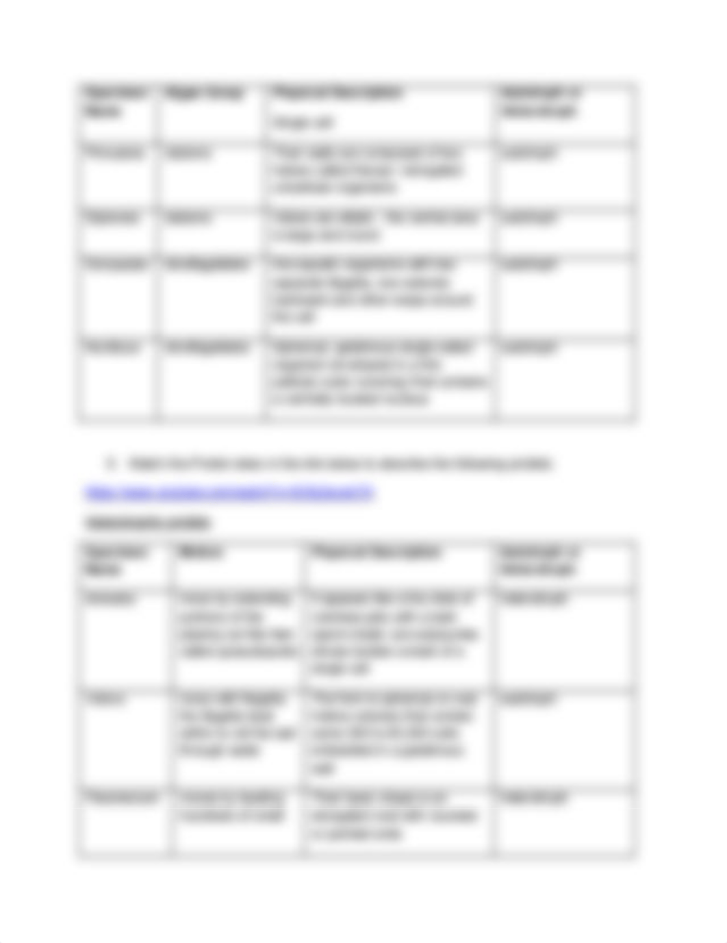 Protists Activity Worksheet (1).pdf_dopvixcybrg_page2