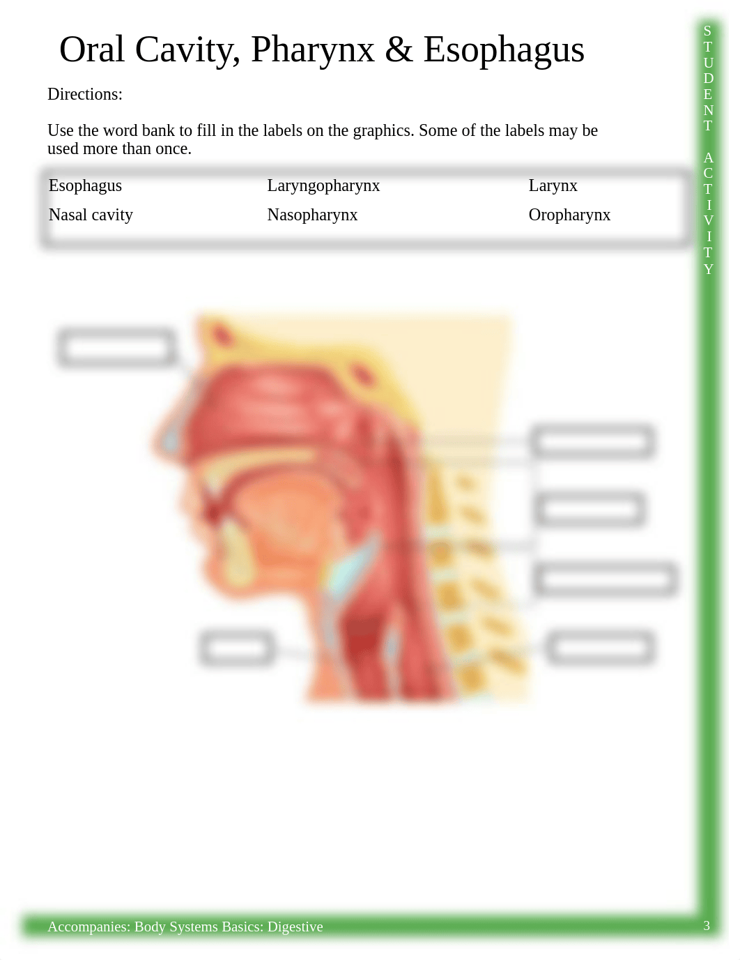 Activity_-_Labeling_Oral_Cavity_Pharynx__Esophagus.pdf_doq3bi2zucp_page3