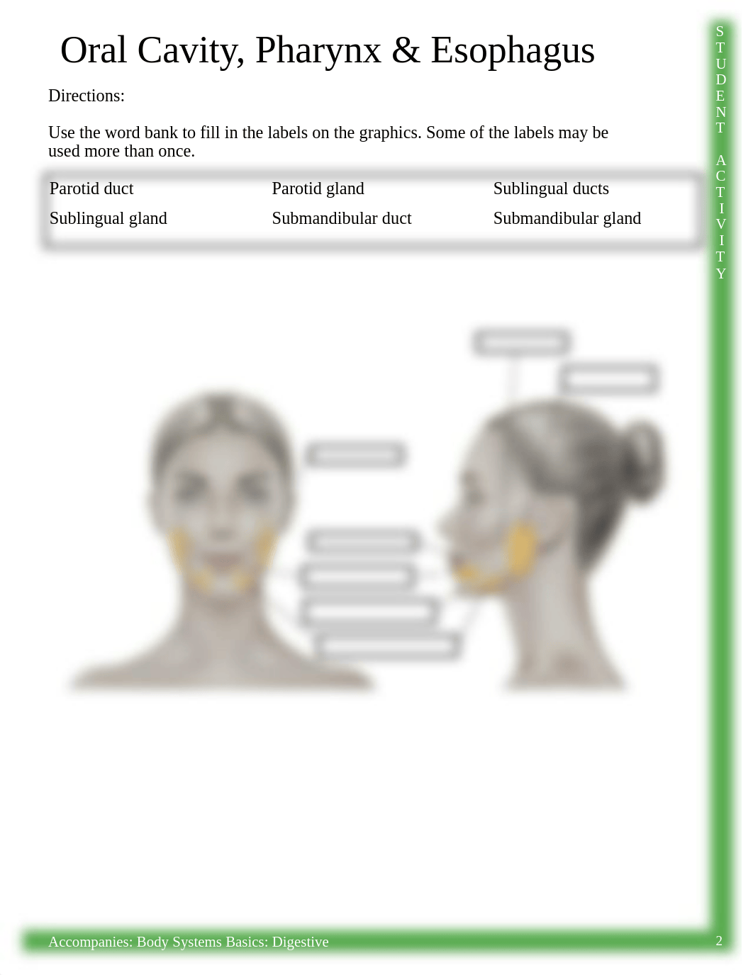 Activity_-_Labeling_Oral_Cavity_Pharynx__Esophagus.pdf_doq3bi2zucp_page2