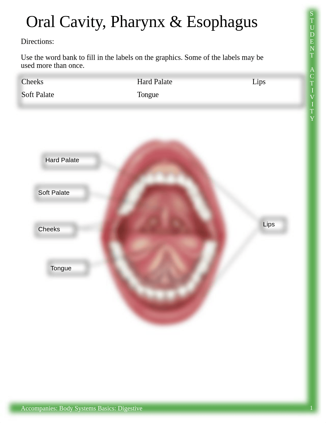 Activity_-_Labeling_Oral_Cavity_Pharynx__Esophagus.pdf_doq3bi2zucp_page1