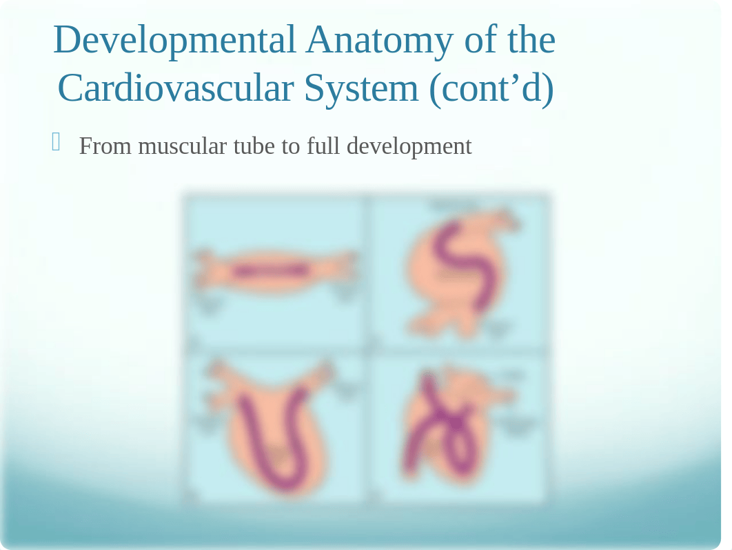 Cardiovascular # 3.pptx_doqdtk1hnw8_page3