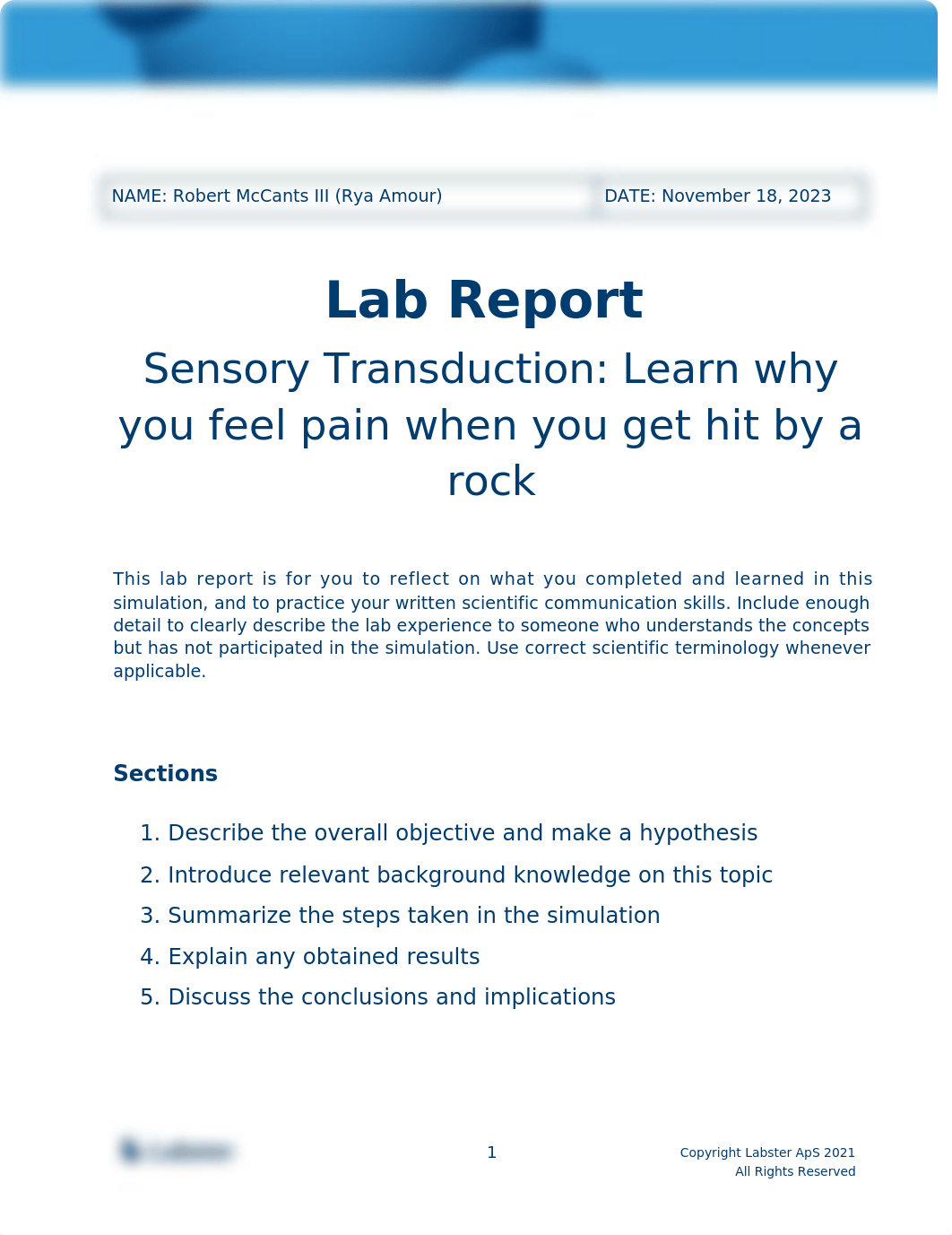 Lab Report - Touchstone 4.docx_doqj1y358ak_page1