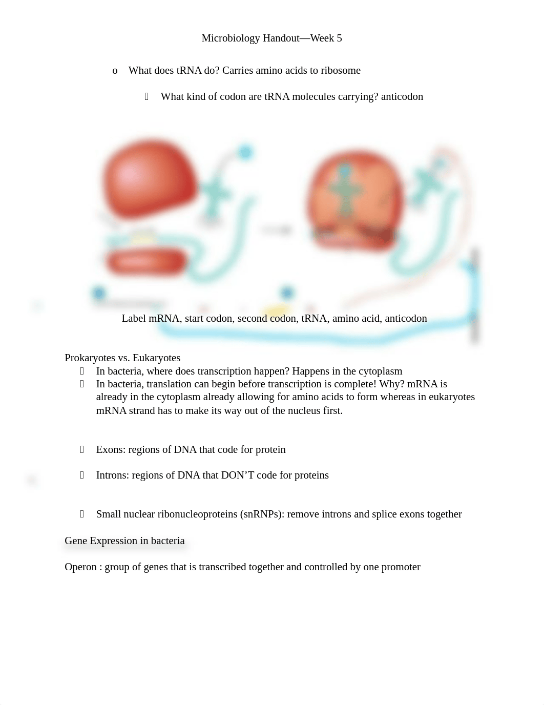 Microbiology exam 2 2 .docx_doqjvf9sgvu_page2