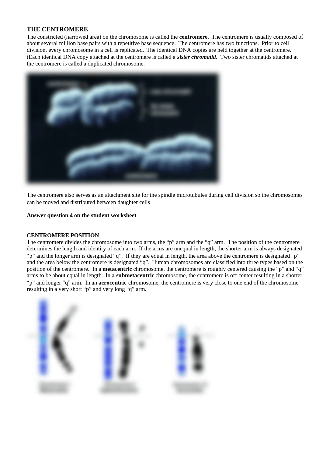 CHROMOSOME_TUTORIAL_2017 edited 2_doqz3hp9tuj_page3