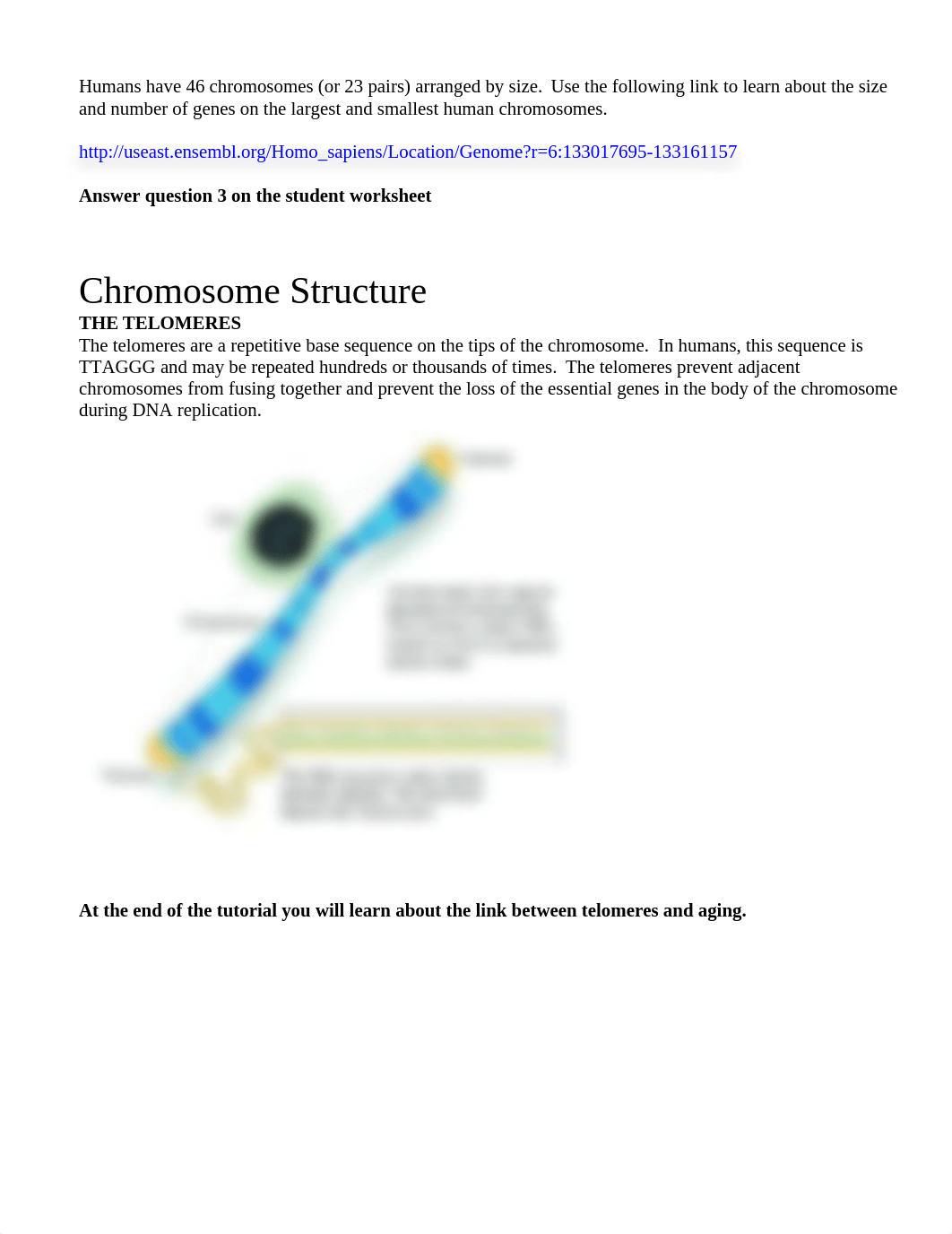 CHROMOSOME_TUTORIAL_2017 edited 2_doqz3hp9tuj_page2