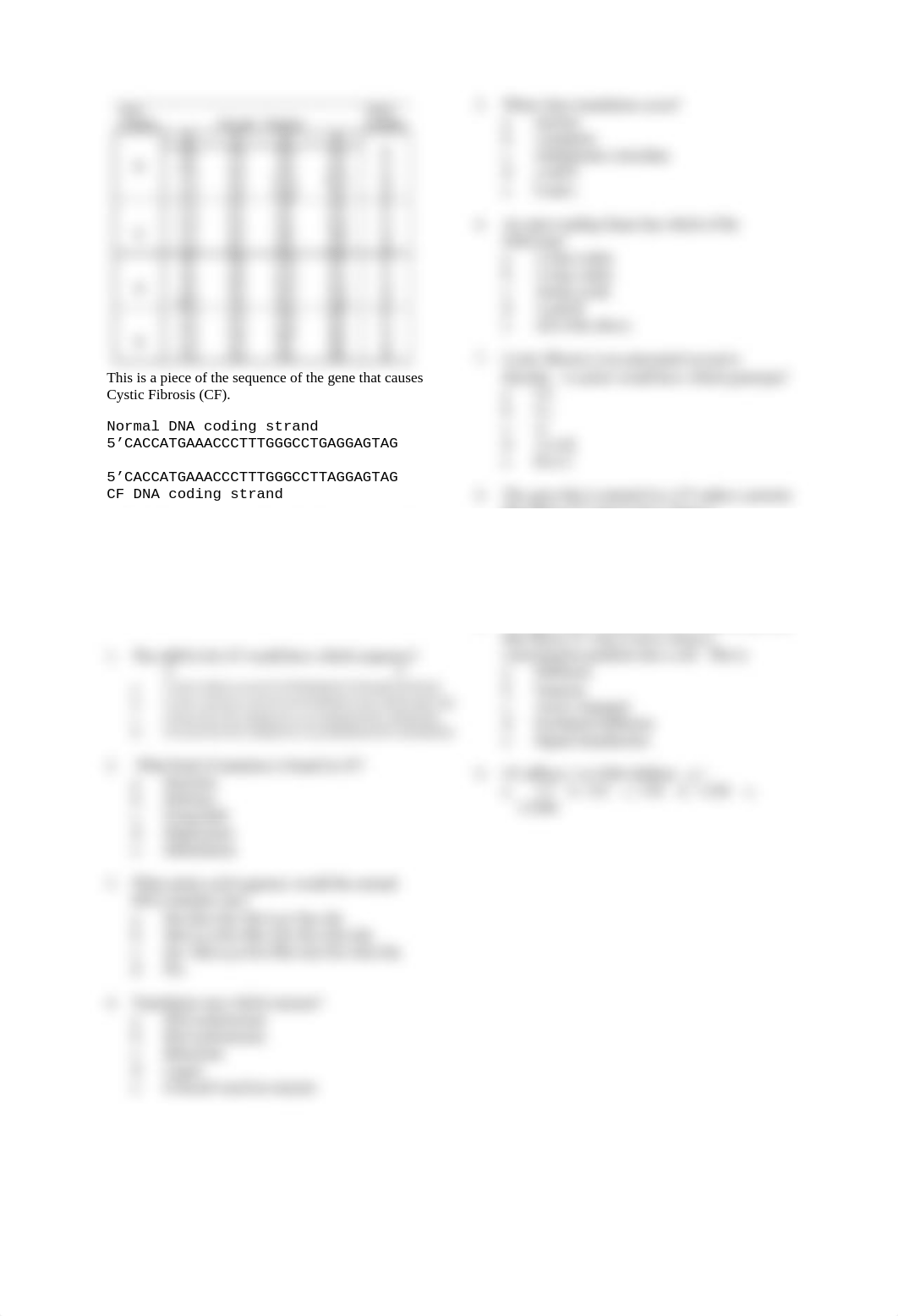 Cumulative Final Exam Review_dor25tfycy3_page2